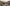 Chevrolet SUVs │ Family/Small Group Travel